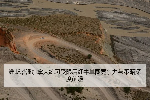 维斯塔潘加拿大练习受限后红牛单圈竞争力与策略深度前瞻